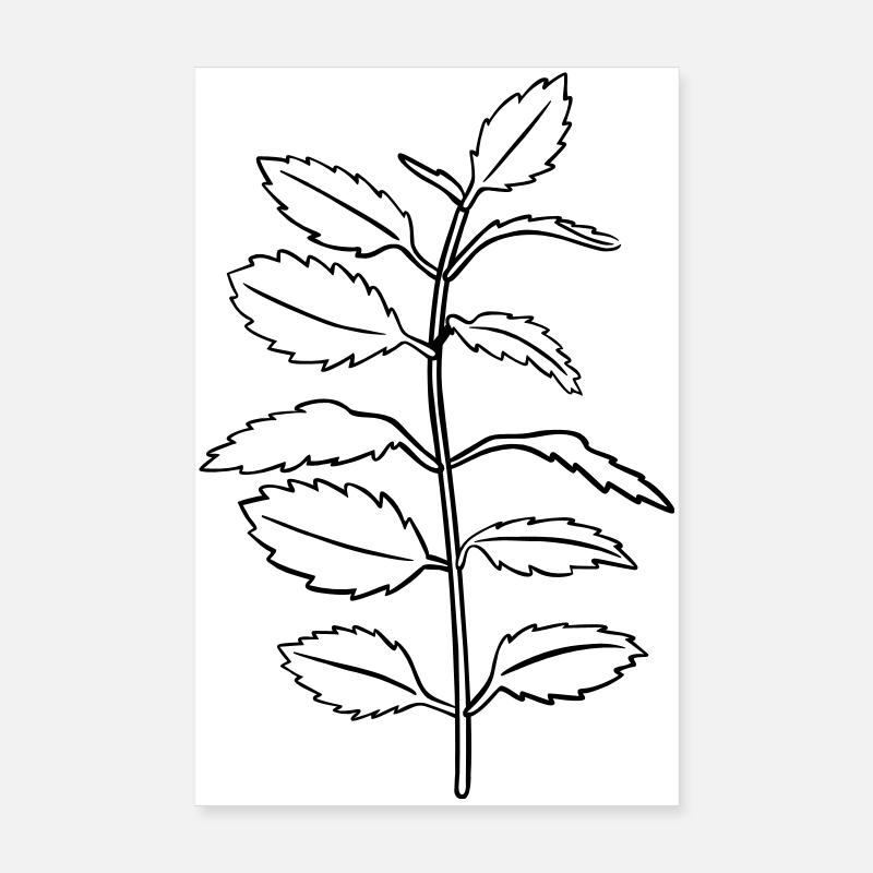 Kräuter-Kontur, schwarz-weiß, einfärbbar - Poster 20x30 cm - Weiß