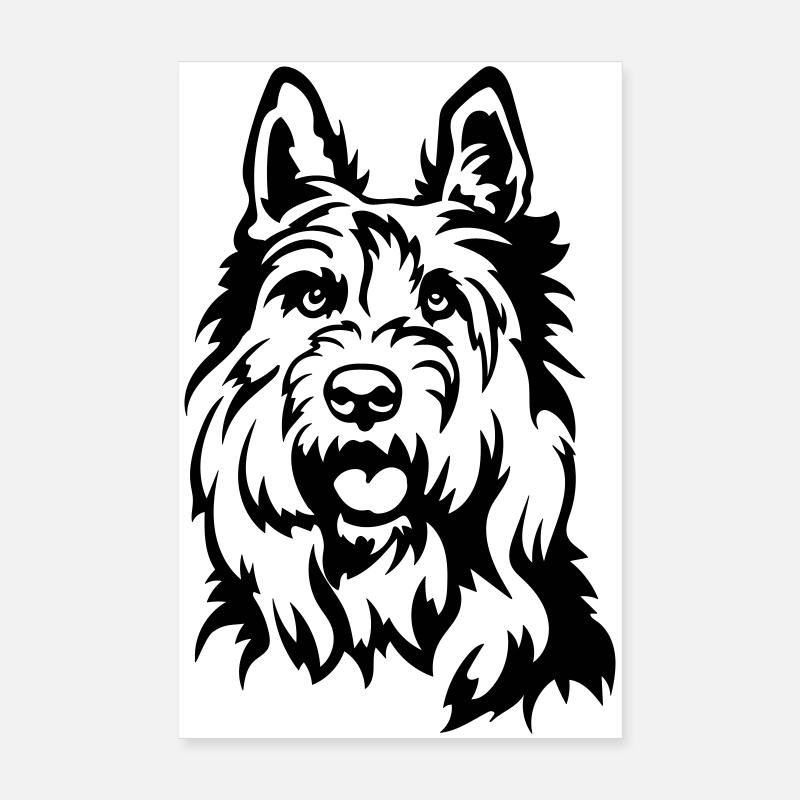 Picard Kopf Poster 20x30 cm