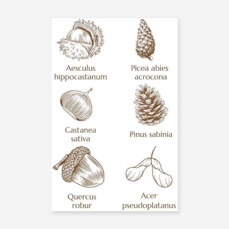 Faune forestière aux tons bruns chauds Poster 20 x 30 cm