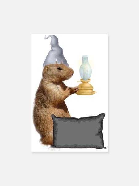 Murmeltiere Nachthemd Schlafanzug Pyjama Nachtlich - Poster 20x30 cm - Weiß - Vorne