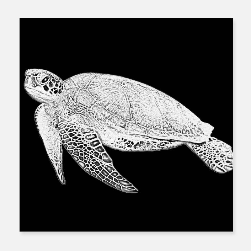 Tortue Poster 20 x 20 cm