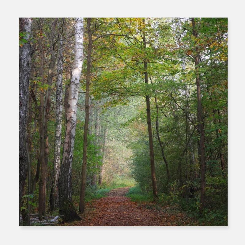 Foto eines Herbstwaldes Poster 20x20 cm
