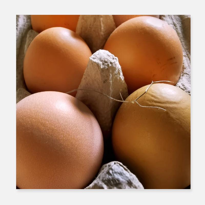 Oeuf Poster 20 x 20 cm