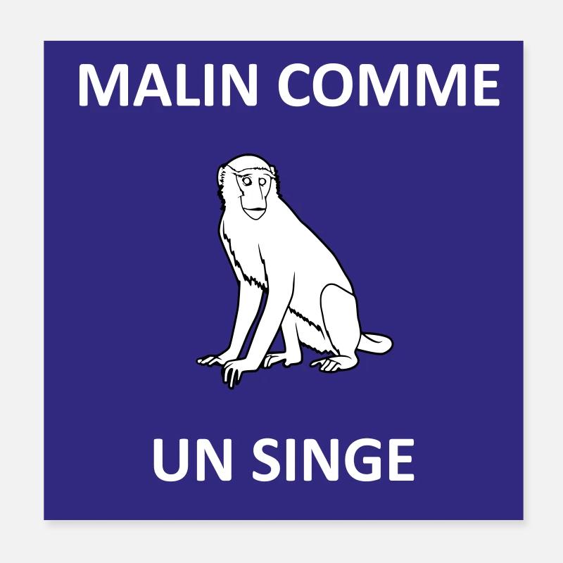 Malin comme un singe Poster 20 x 20 cm