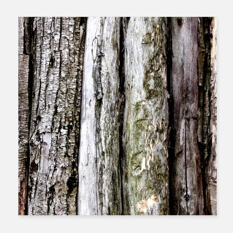Écorce boisée: textures verticales Poster 20 x 20 cm