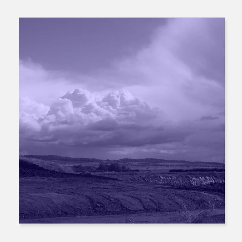 Paysage de brouillard de lavande Poster 20 x 20 cm