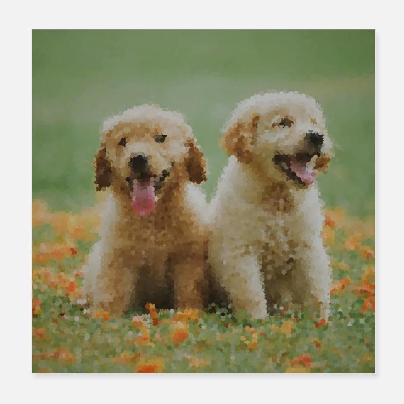2 Labrador Retriever Welpen im Blütenfeld - Poster 20x20 cm - Weiß