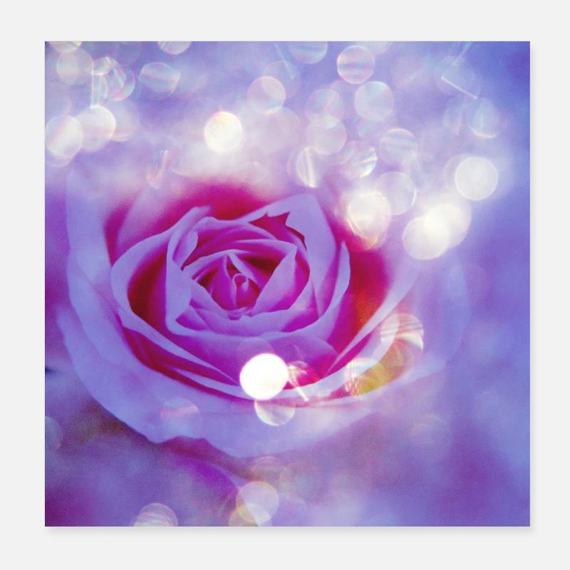 L’exposition multiple lumineuse de Rose Poster 20 x 20 cm
