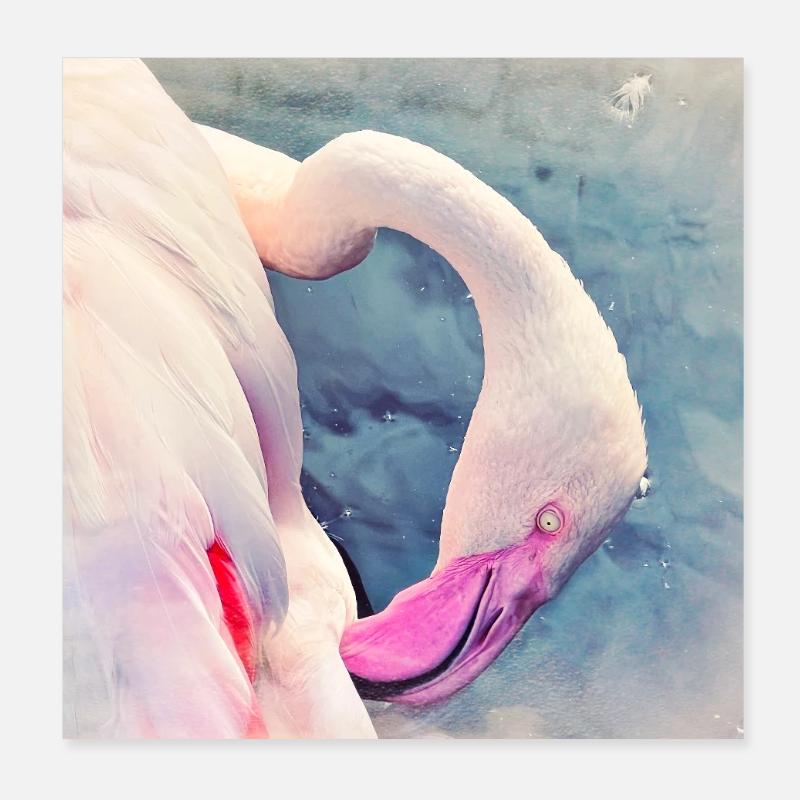 Flamingo Poster 20x20 cm