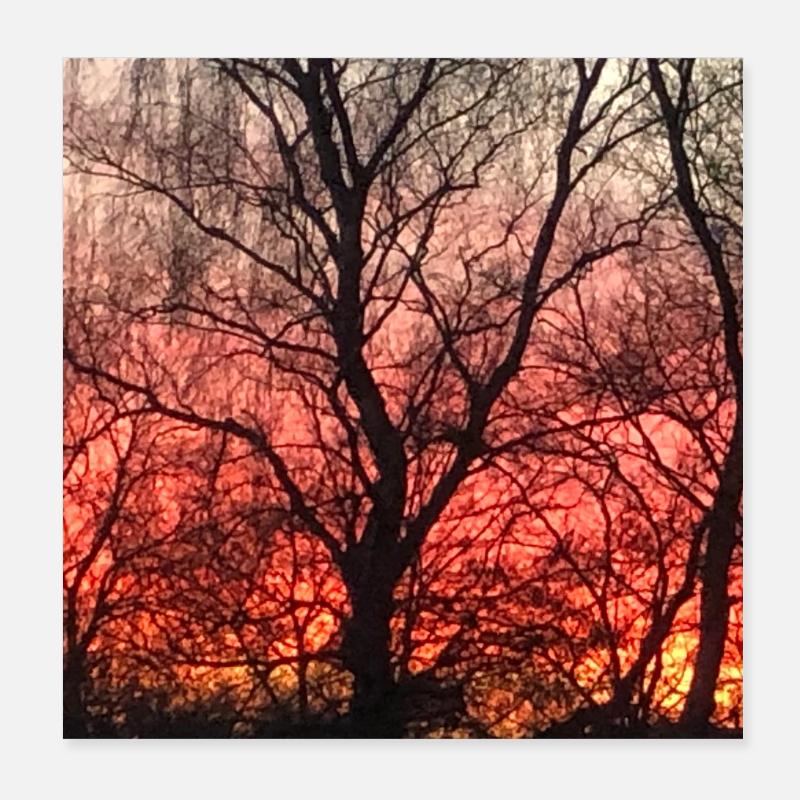 sunset Poster 8" x 8" (20x20 cm)