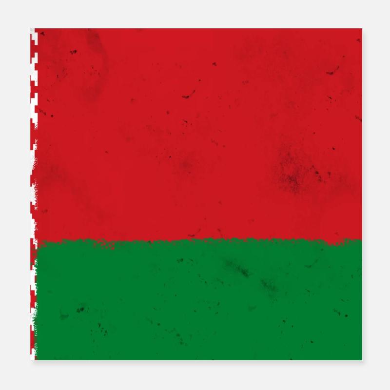 Flagge von Belarus Poster 20x20 cm