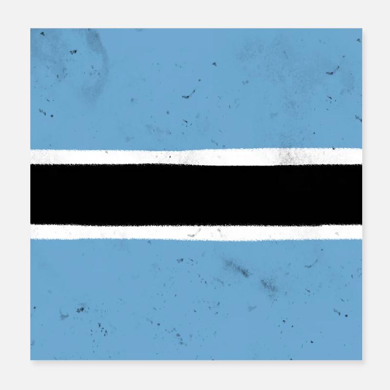 Flag of Botswana Poster 8" x 8" (20x20 cm)