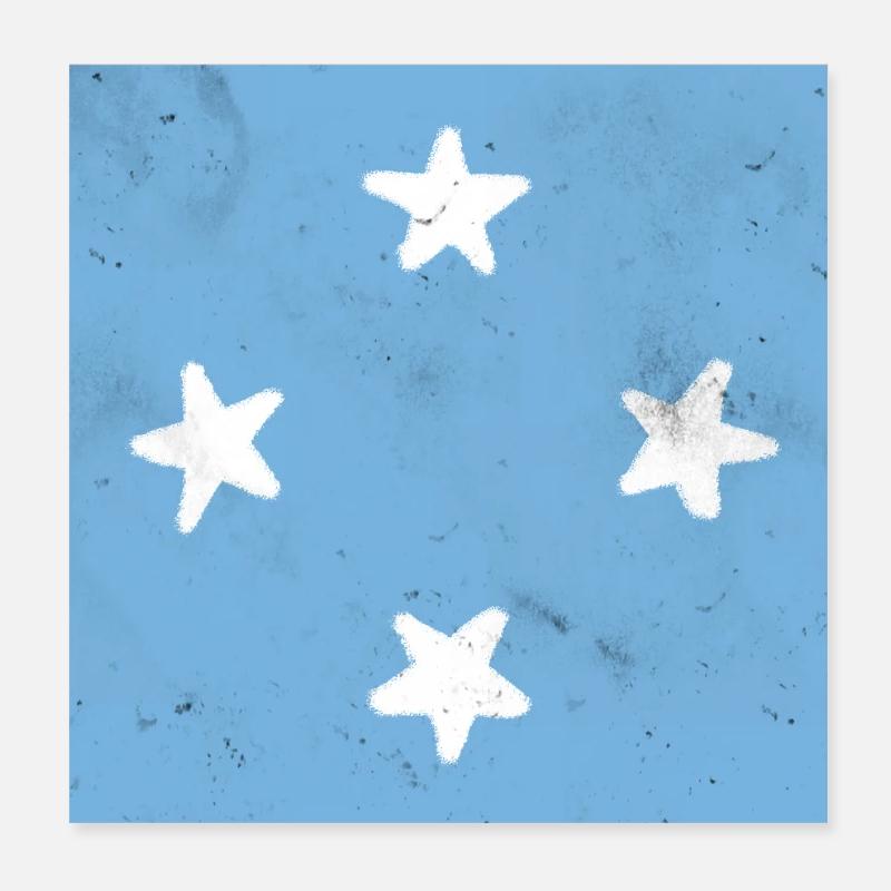 Flag of Micronesia Poster 8" x 8" (20x20 cm)