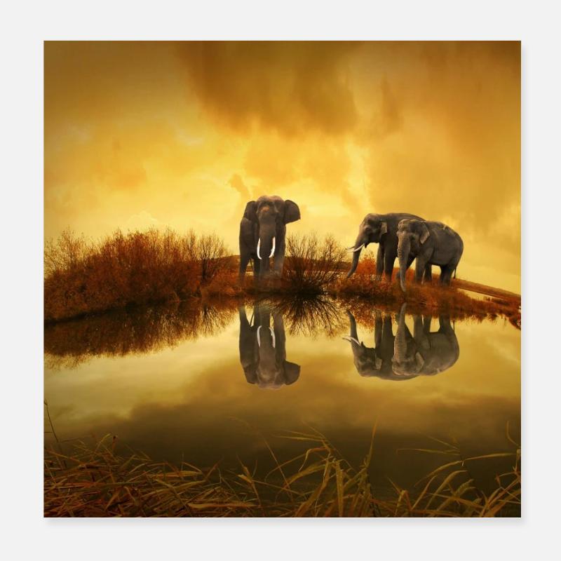 3 éléphants gris sous le ciel jaune Poster 20 x 20 cm