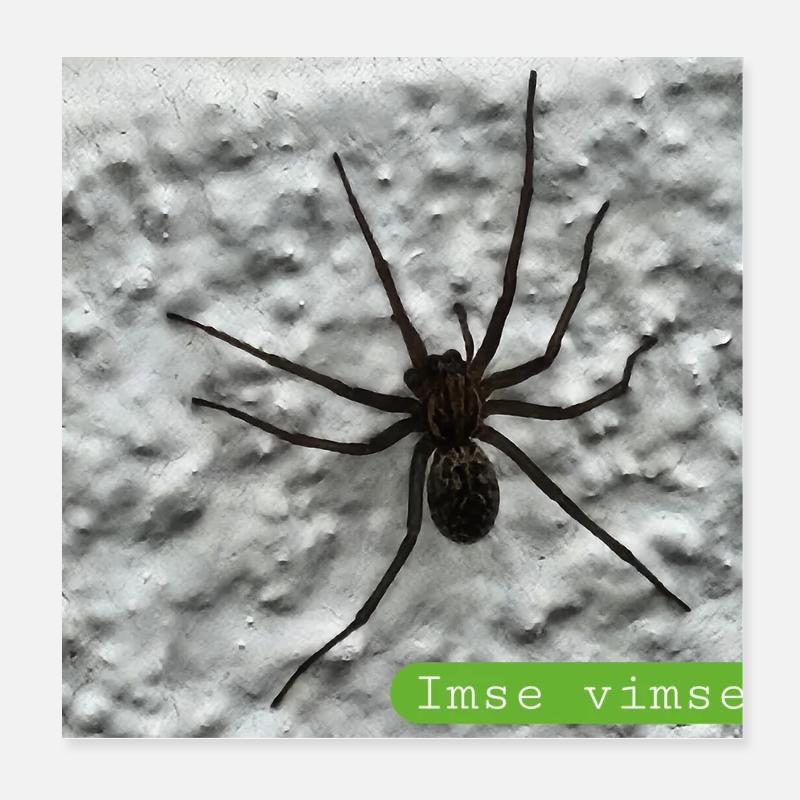 spider Poster 8" x 8" (20x20 cm)