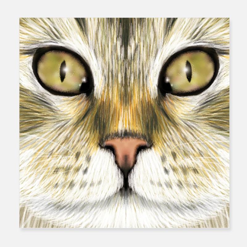 Norwegian Forest Cat Poster 8" x 8" (20x20 cm)