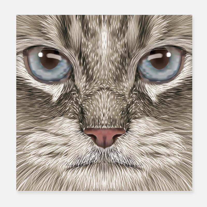 Chat sibérien Poster 20 x 20 cm