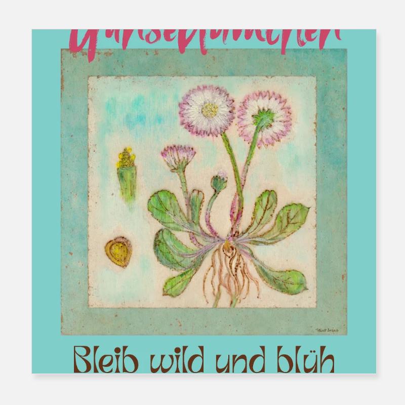 Gänseblümchen Wildblumen Print Poster 20x20 cm