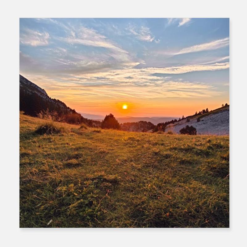 coucher de soleil dorée sur prairie alpine Poster 20 x 20 cm