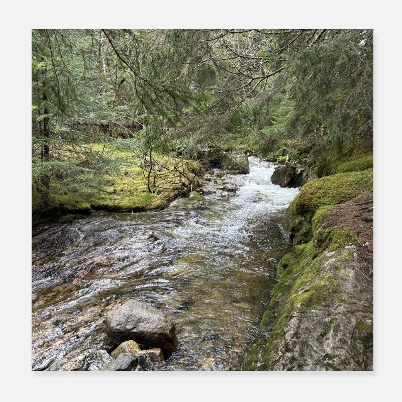 Still life in the forest with river Poster 8" x 8" (20x20 cm)