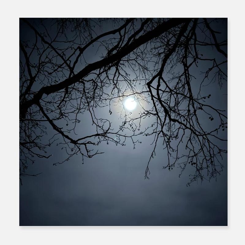 Moonlight silhouette with branches Poster 8" x 8" (20x20 cm)