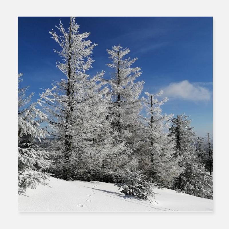 Winterwald Schneezauber Poster 20x20 cm