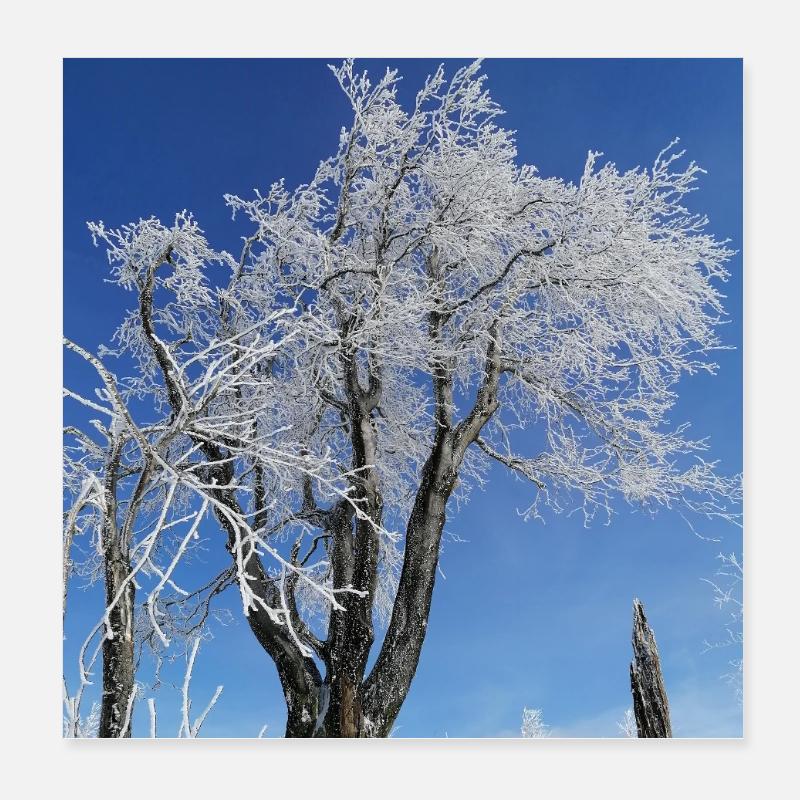 Eisige Kälte Poster 20x20 cm