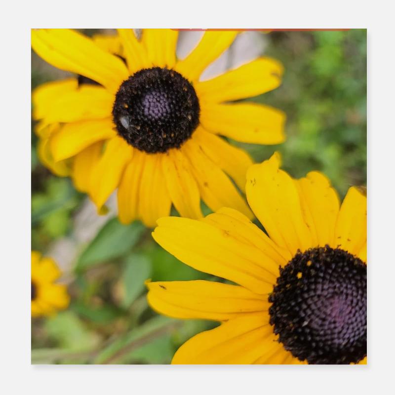 Double sunshine Poster 8" x 8" (20x20 cm)