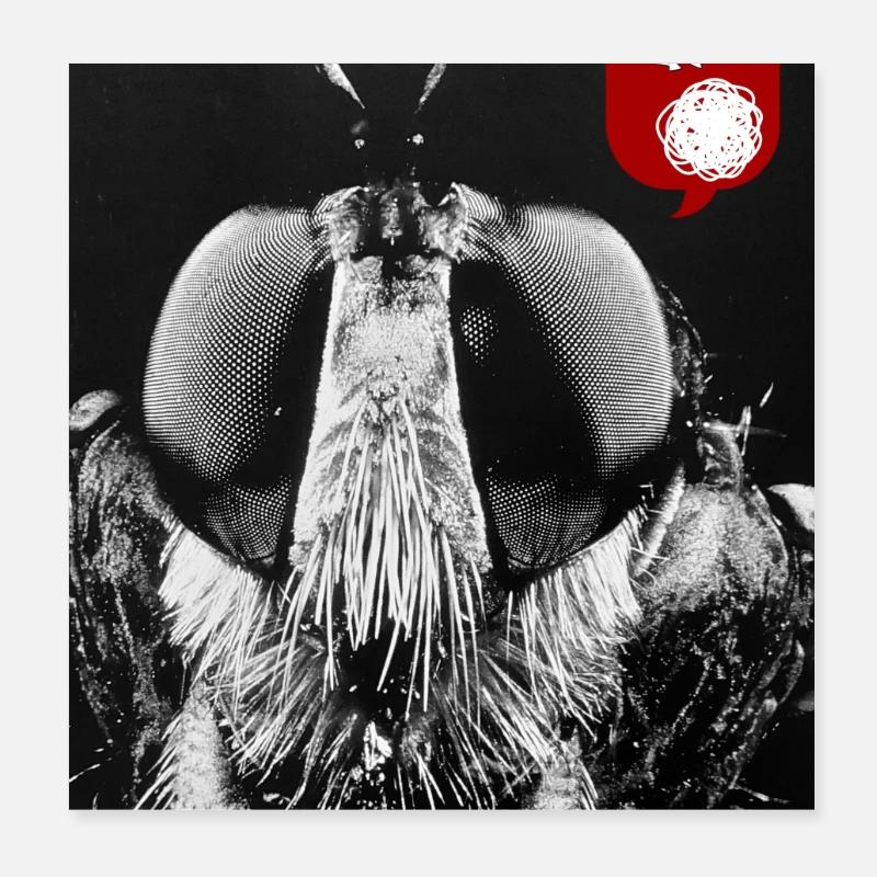 Bug aus Poster 20x20 cm