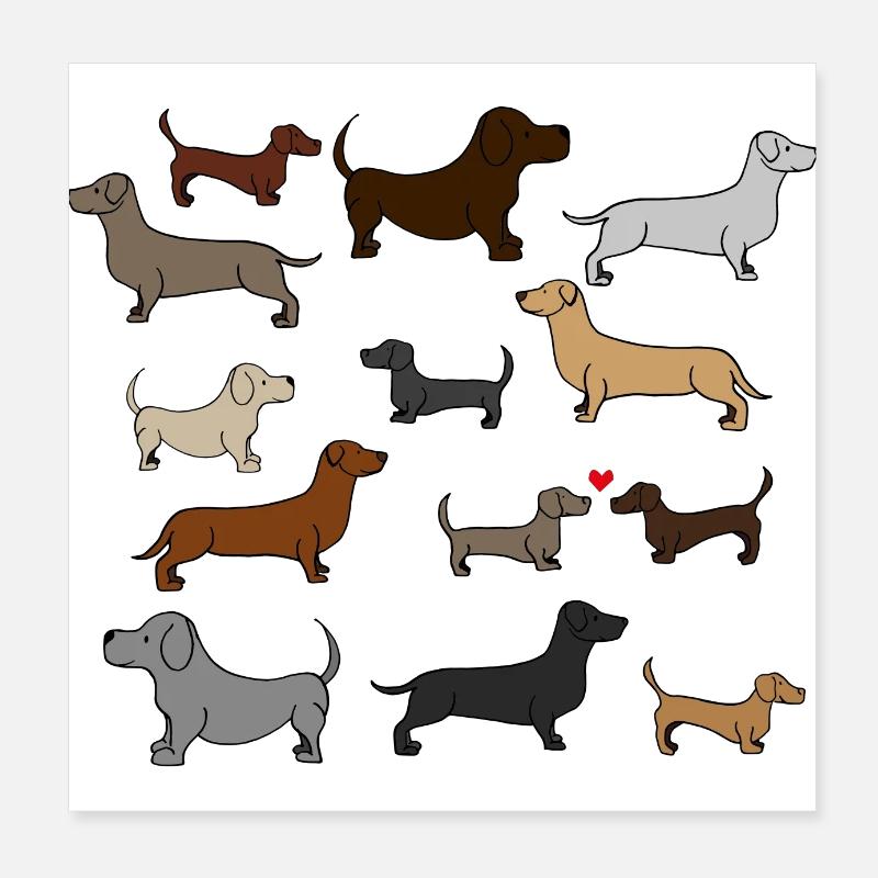 super cute dachshund, gift idea, poster Poster 8" x 8" (20x20 cm)