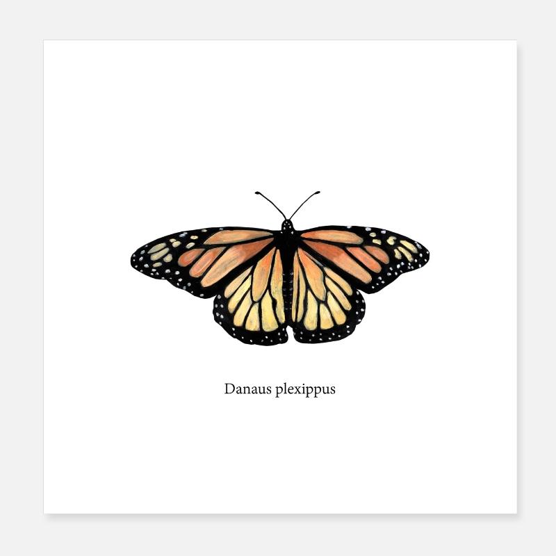 monarque - Poster 20 x 20 cm - blanc