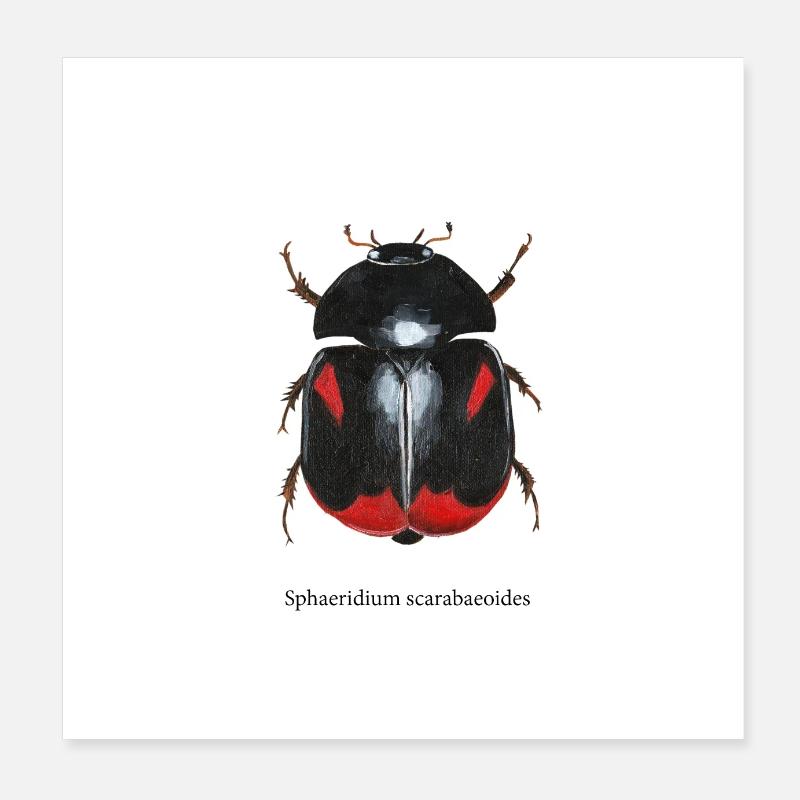 vand bille Poster 20x20 cm