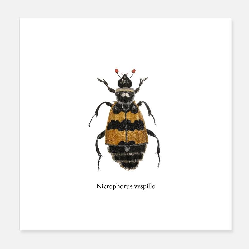 fossoyeur - Poster 20 x 20 cm - blanc