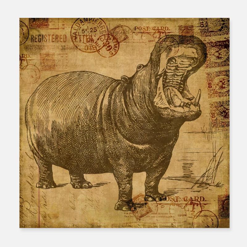 Hippo Vintage - Poster 20x20 cm - Weiß