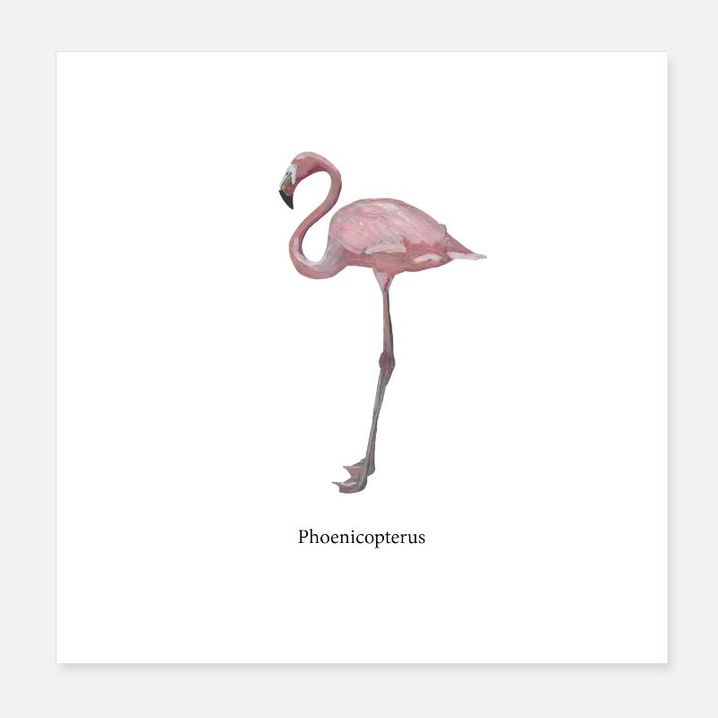 flamant - Poster 20 x 20 cm - blanc