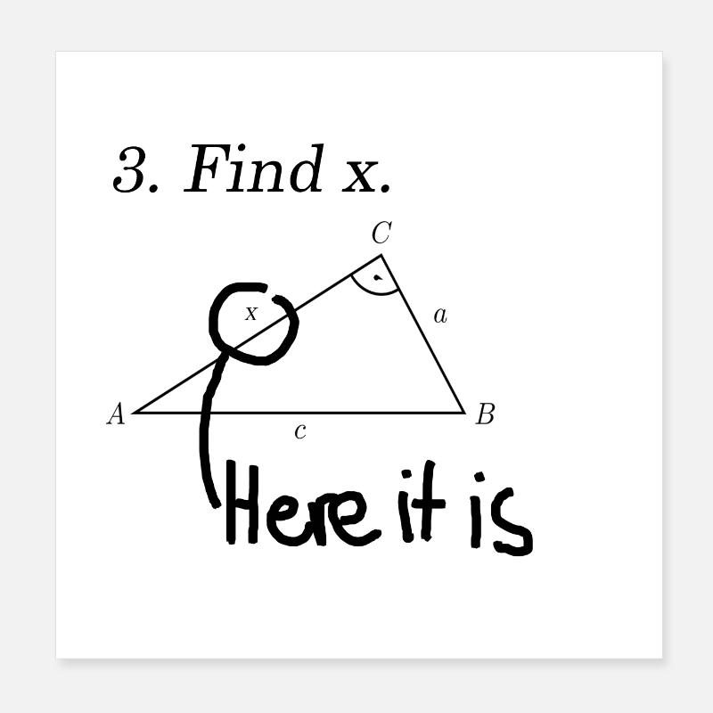 Finde X Mathe Design Lehrer Schüler Geschenkidee Poster 20x20 cm