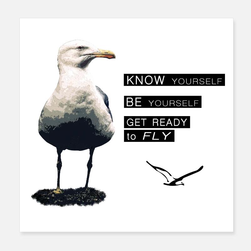 Die Lebensphilosophie der Möwe Poster 20x20 cm