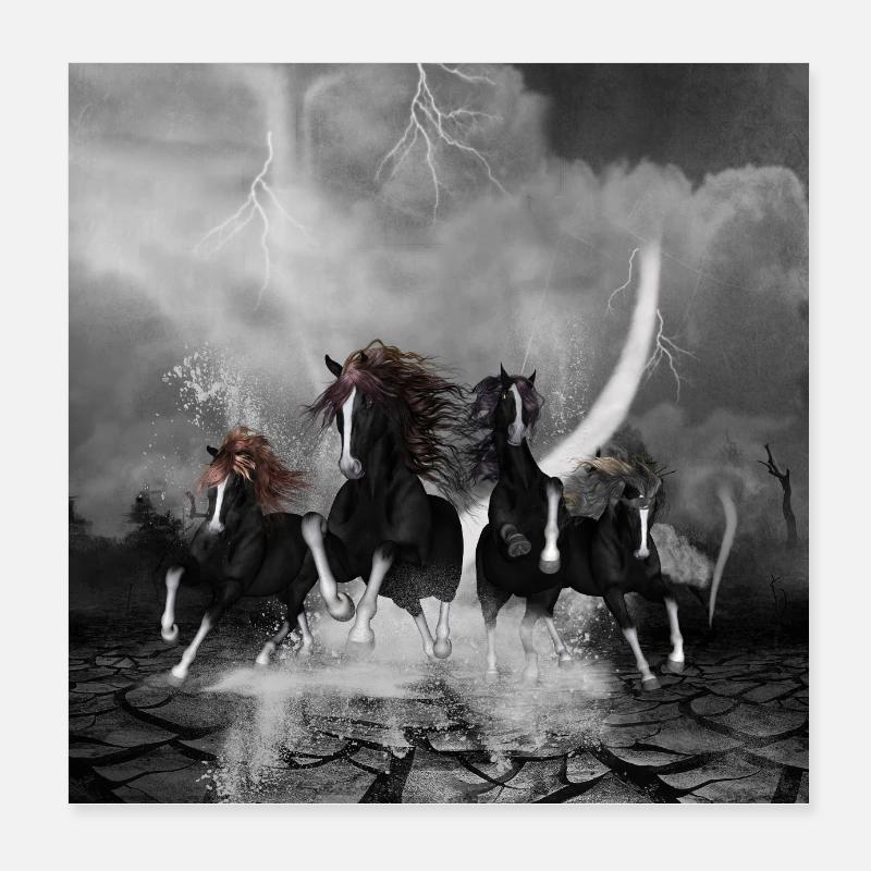 Wunderbare schwarze Pferde Poster 20x20 cm