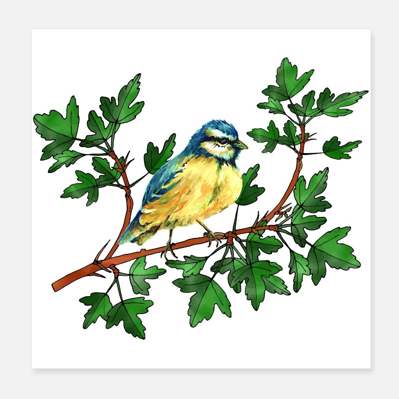 Oiseau de sikorka Poster 20 x 20 cm