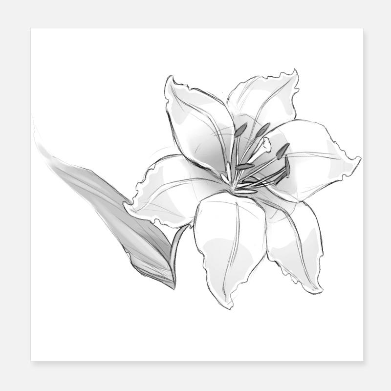 Lily Poster 8" x 8" (20x20 cm)