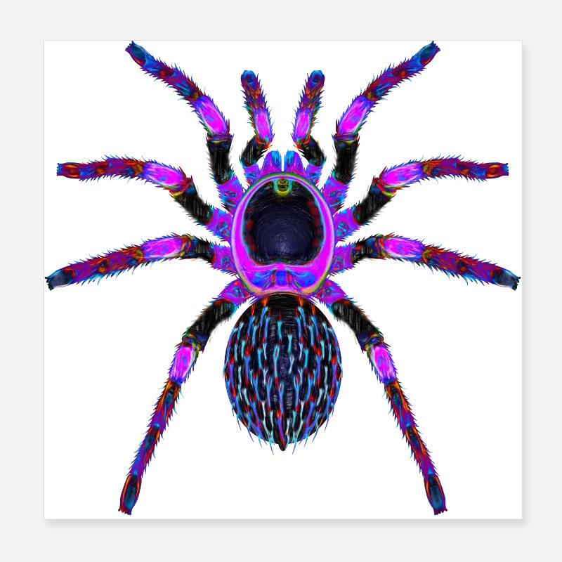 Lila Spinne Poster 20x20 cm