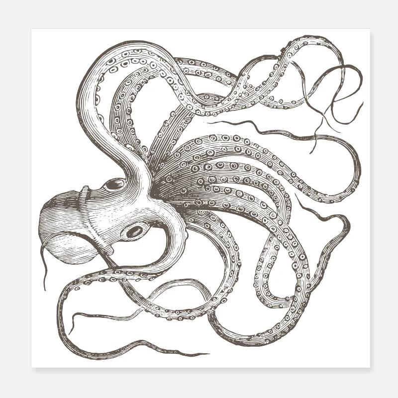 Pieuvre Poster 20 x 20 cm
