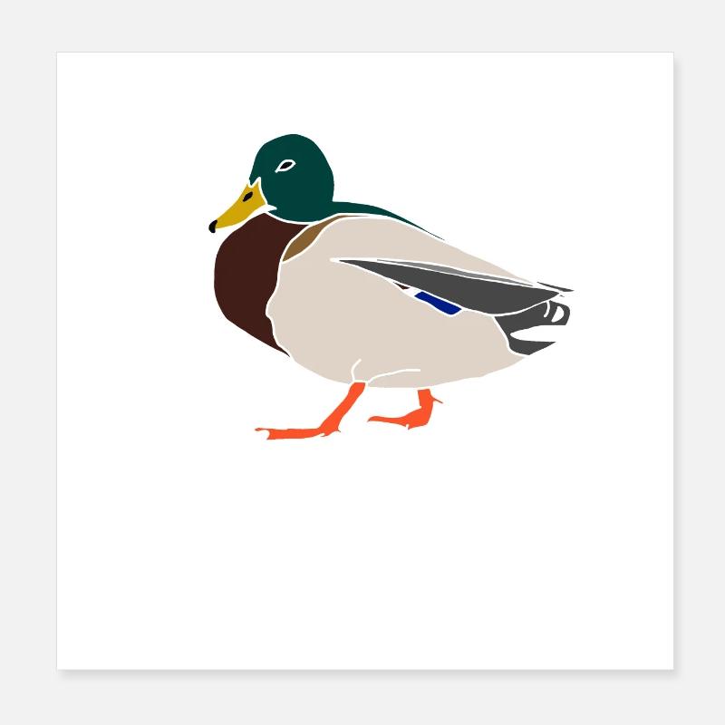 Canard Poster 20 x 20 cm