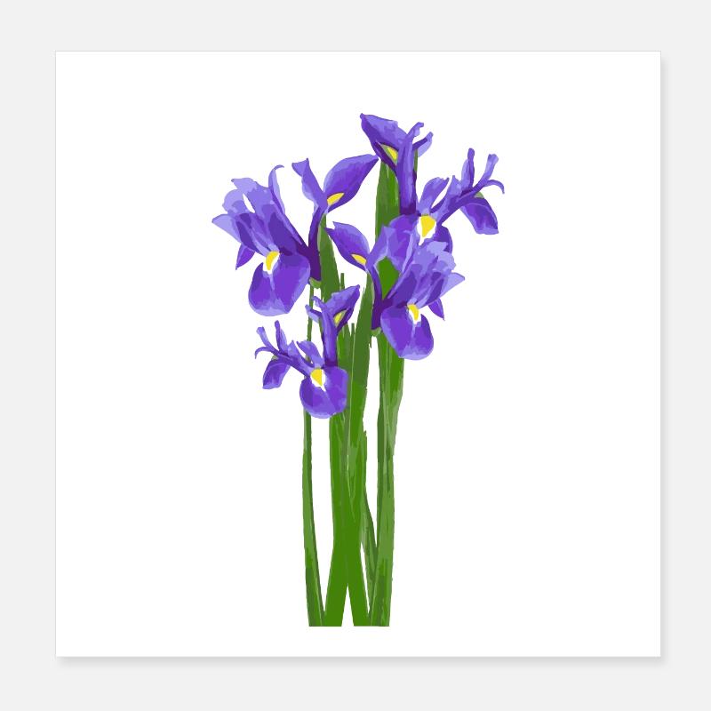Flowers Spring Iris Iris - Gift Idea Poster 8" x 8" (20x20 cm)