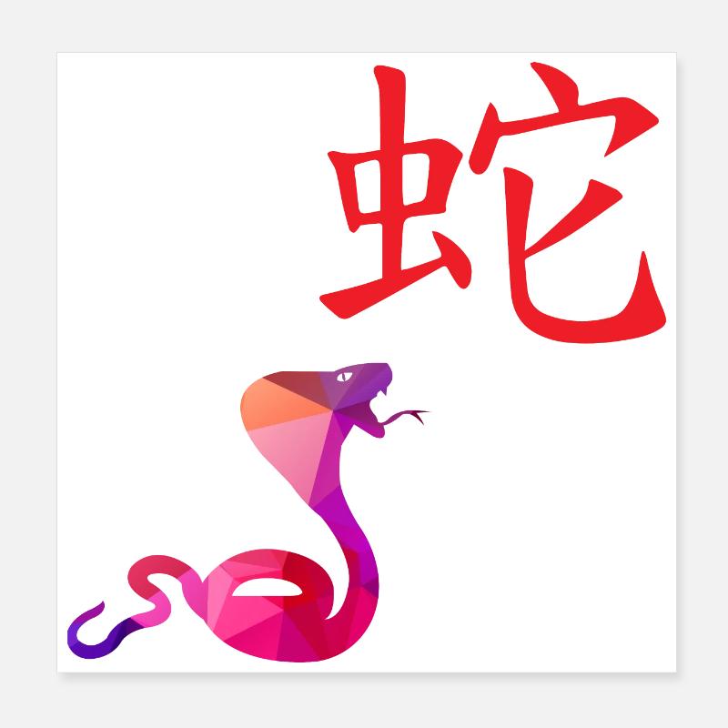 Chinese Zodiac Sign Snake - Gift Idea Poster 8" x 8" (20x20 cm)