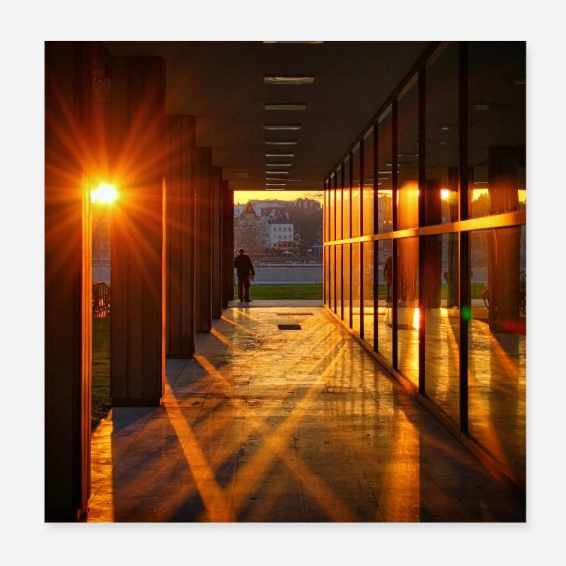 Sunset Shadows - Poster 20x20 cm - Weiß