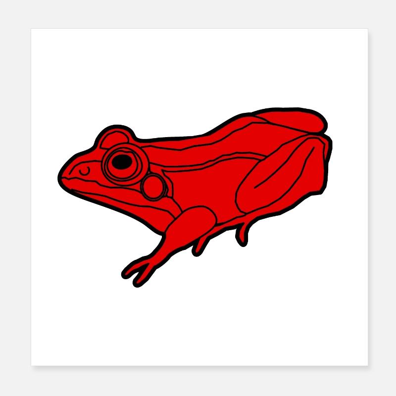 Conception graphique animale nature grenouille rouge Poster 20 x 20 cm