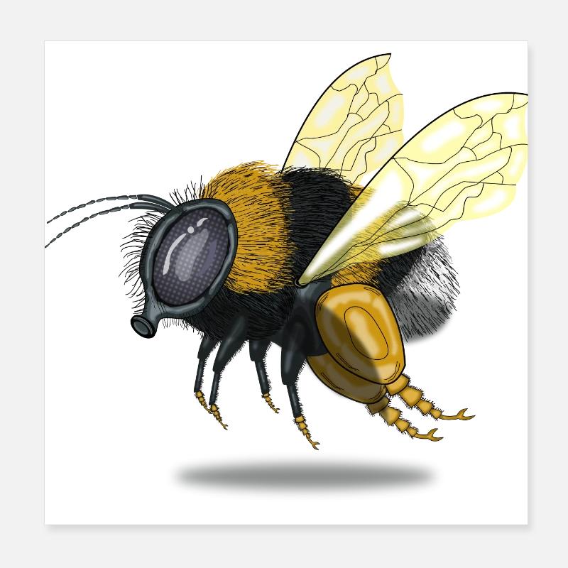 Cadeau de conservation apiculteur bourdon Poster 20 x 20 cm