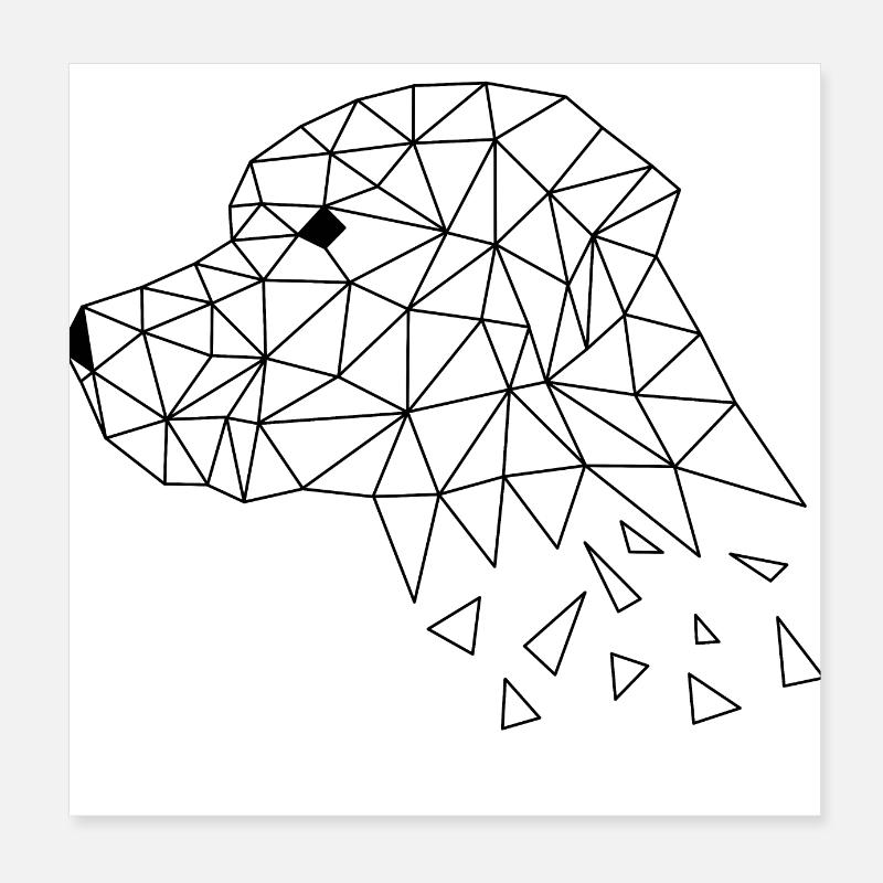 Labrador (Hund) Poster 20x20 cm