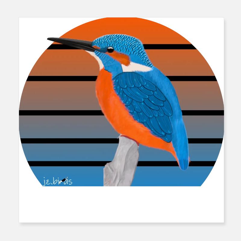 jz.birds Eisvogel Vogel Design Poster 20x20 cm